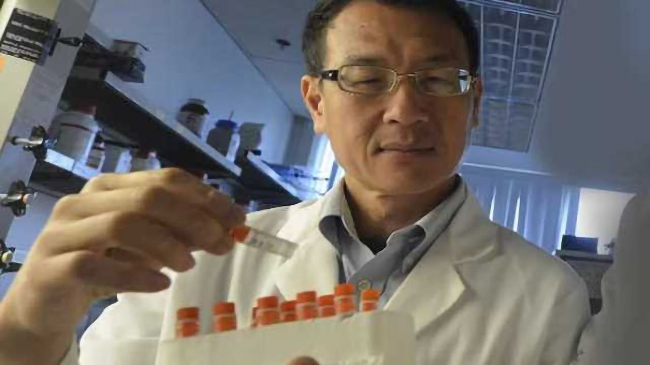 New finding about a protein that enables our brains and muscles to talk