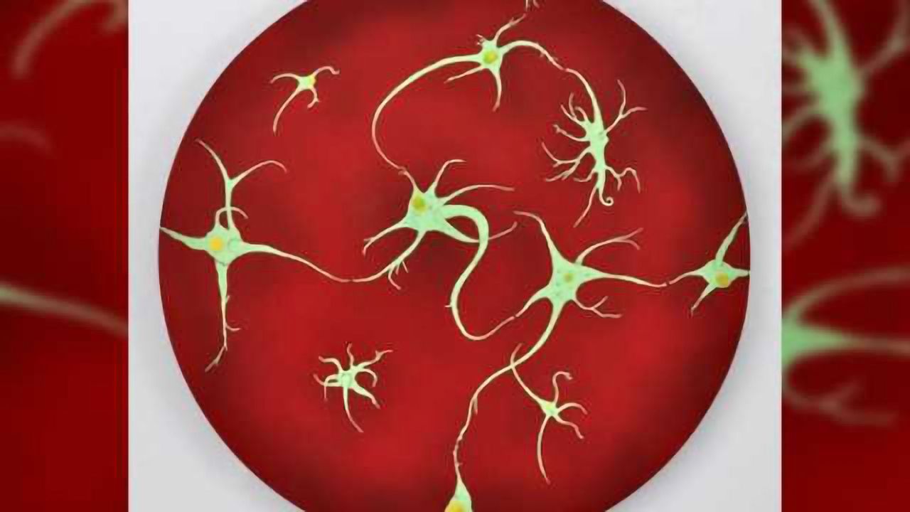 Brain blocks new memory formation on waking to safeguard consolidation of existing memories