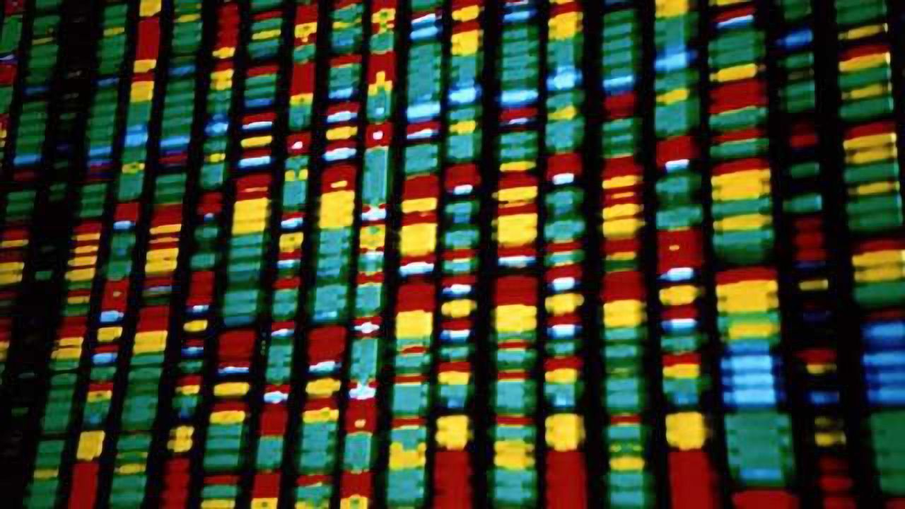 Researchers uncover possible source of genetic error behind a dozen debilitating diseases