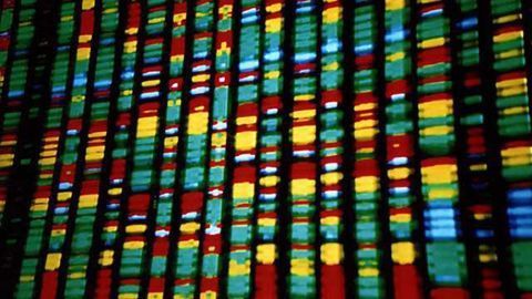 Researchers uncover possible source of genetic error behind a dozen debilitating diseases
