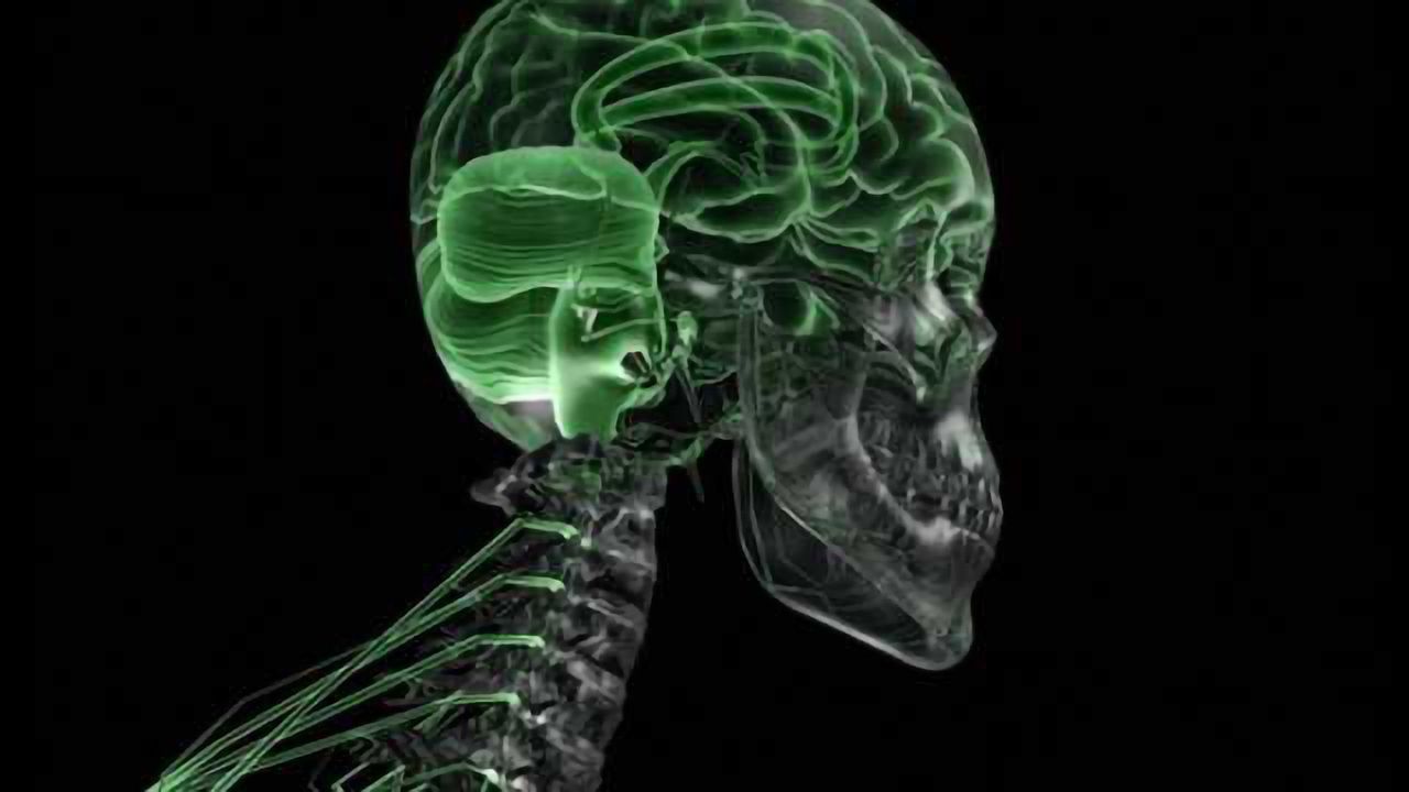 Study: Autism brain response theory a dead end