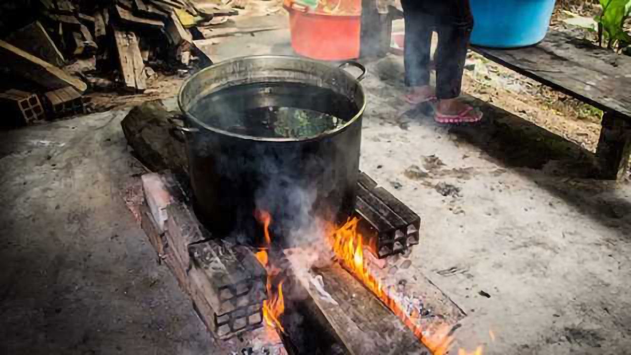 Substance present in ayahuasca brew stimulates generation of human neural cells