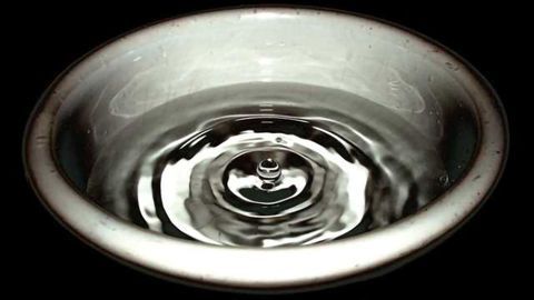 Neurons anticipate body's response to food and water