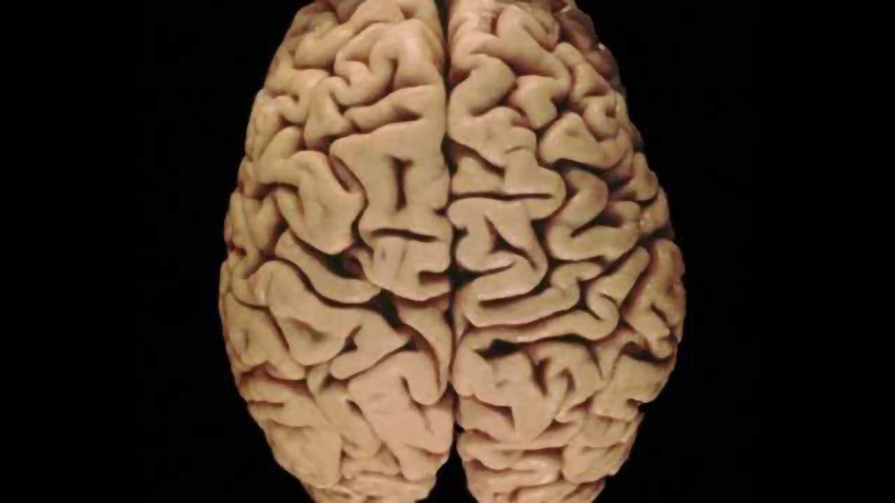 New disease could signal hope for sufferers of brain aging conditions