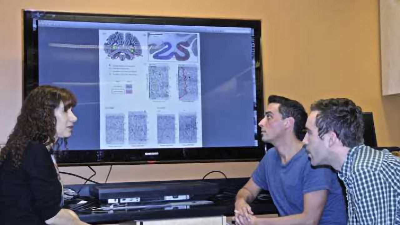 Study shows development of face recognition entails brain tissue growth
