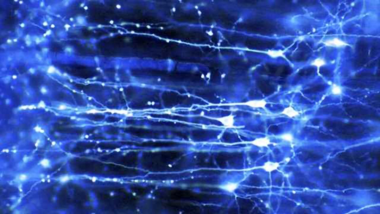Of mice and men: Unique electrical properties of human nerve cells make a difference