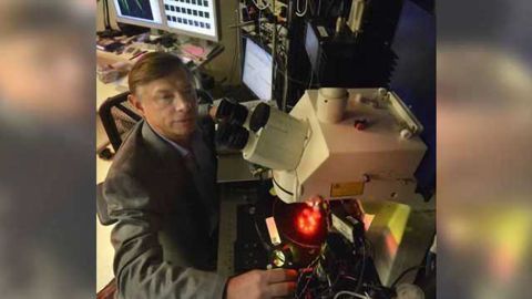 Brain cell powerhouses appear good treatment target for stroke, TBI recovery