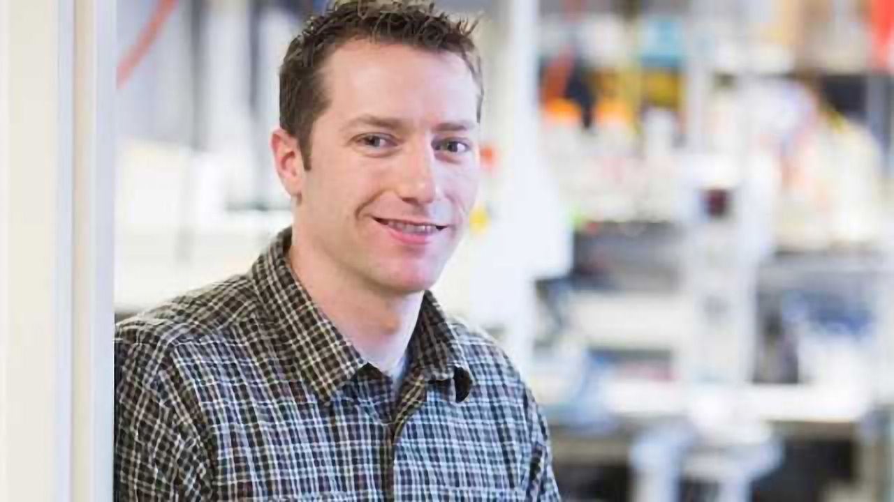 David Werner, Addiction Researcher