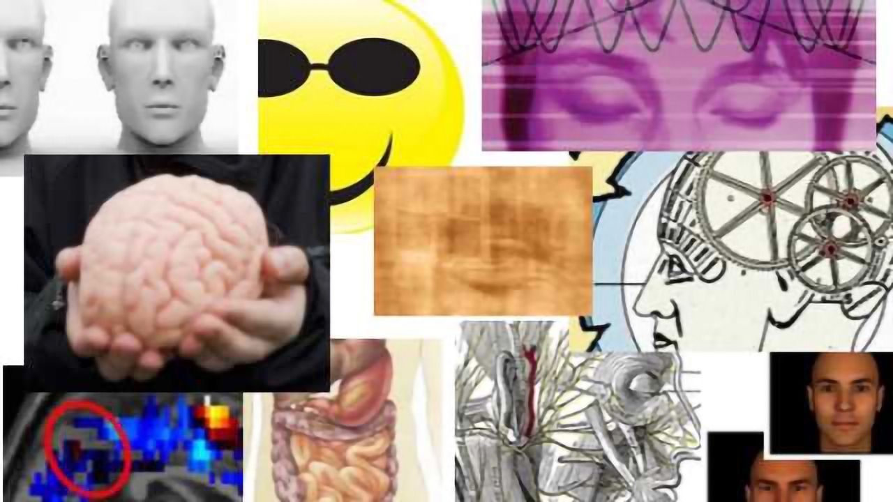 Top 10 NeuroScientistNews Stories of 2014