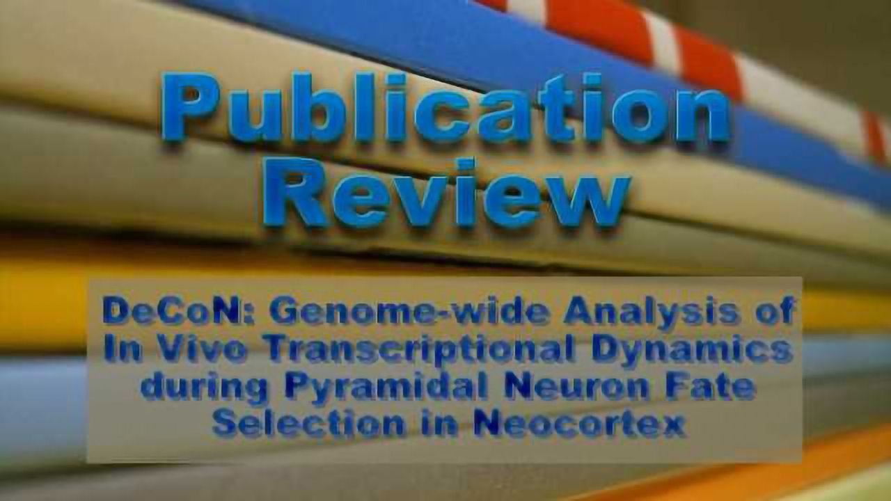 Decoding the Building Blocks of Neuronal Diversity