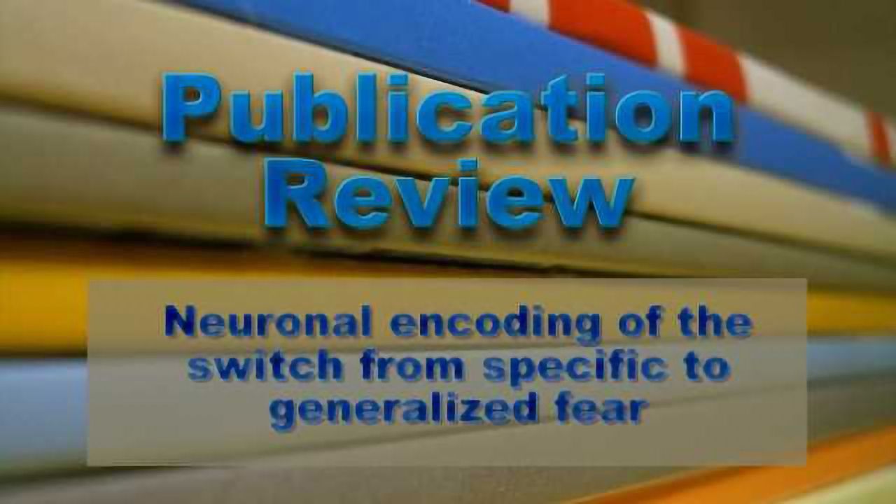 When Fear Gets Out of Hand: Fear Generalization & PTSD