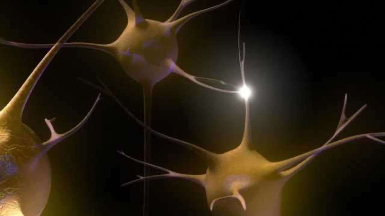 Cold-shock protein protects against neurodegeneration