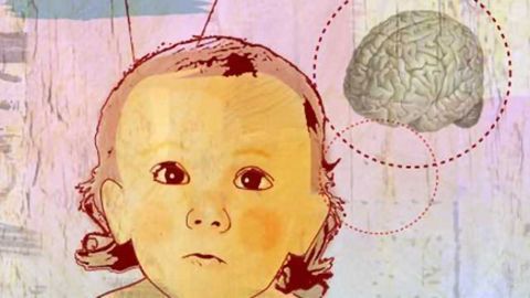 Brain responses to speech predict early language outcomes in children with autism