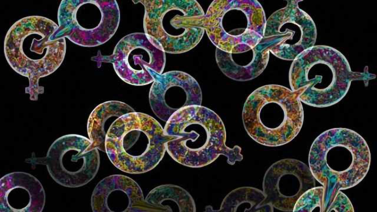 Neural fundamentals: Sex differences in the nervous system