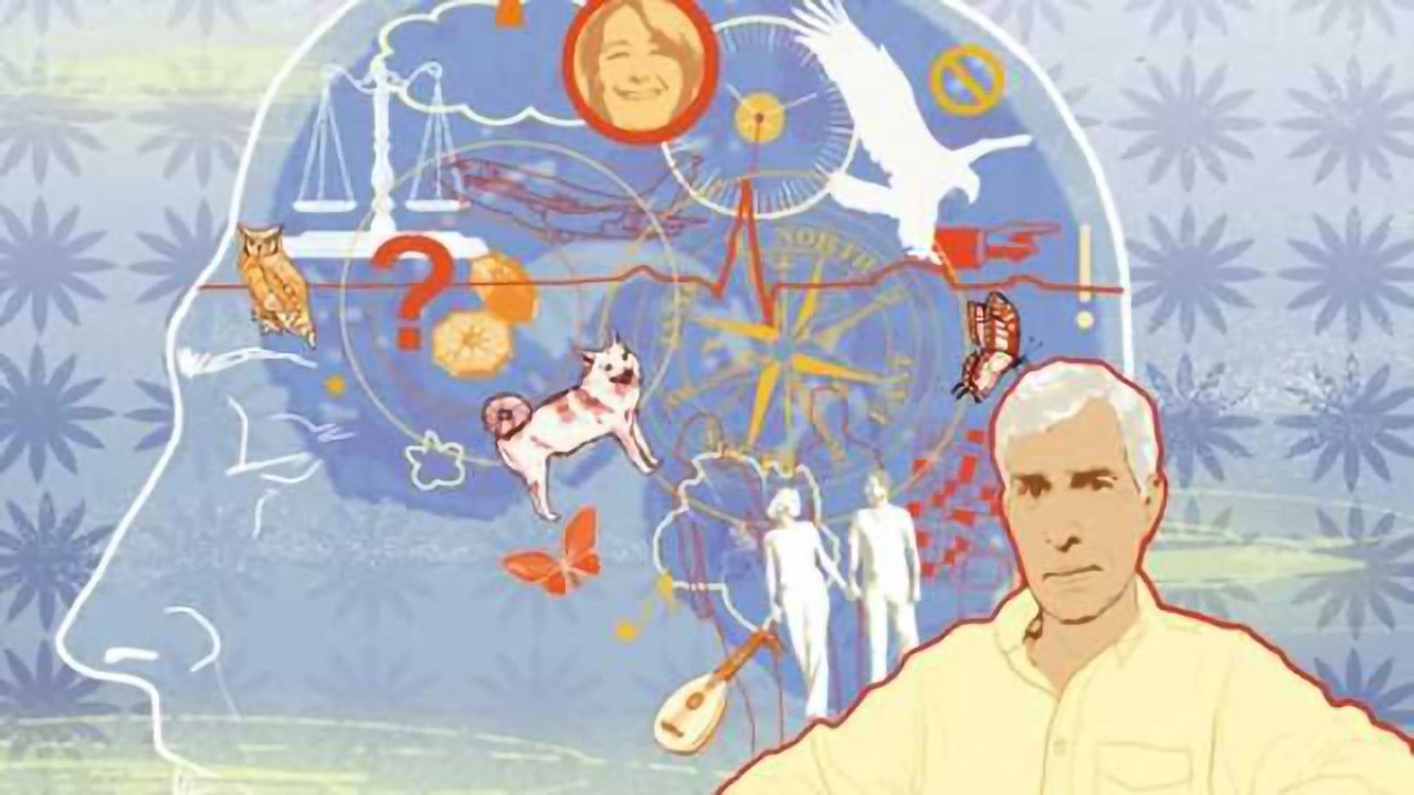 The memory game: Rapid formation of new associations