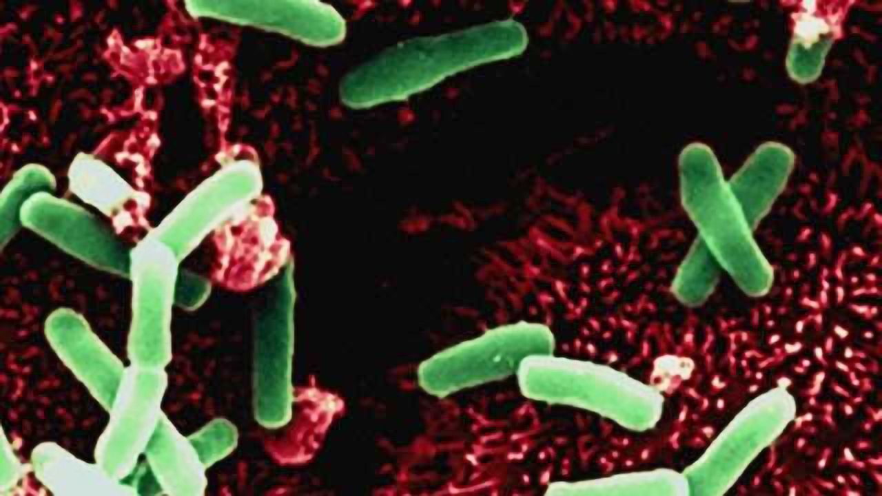 Microbes, mood, and mental health