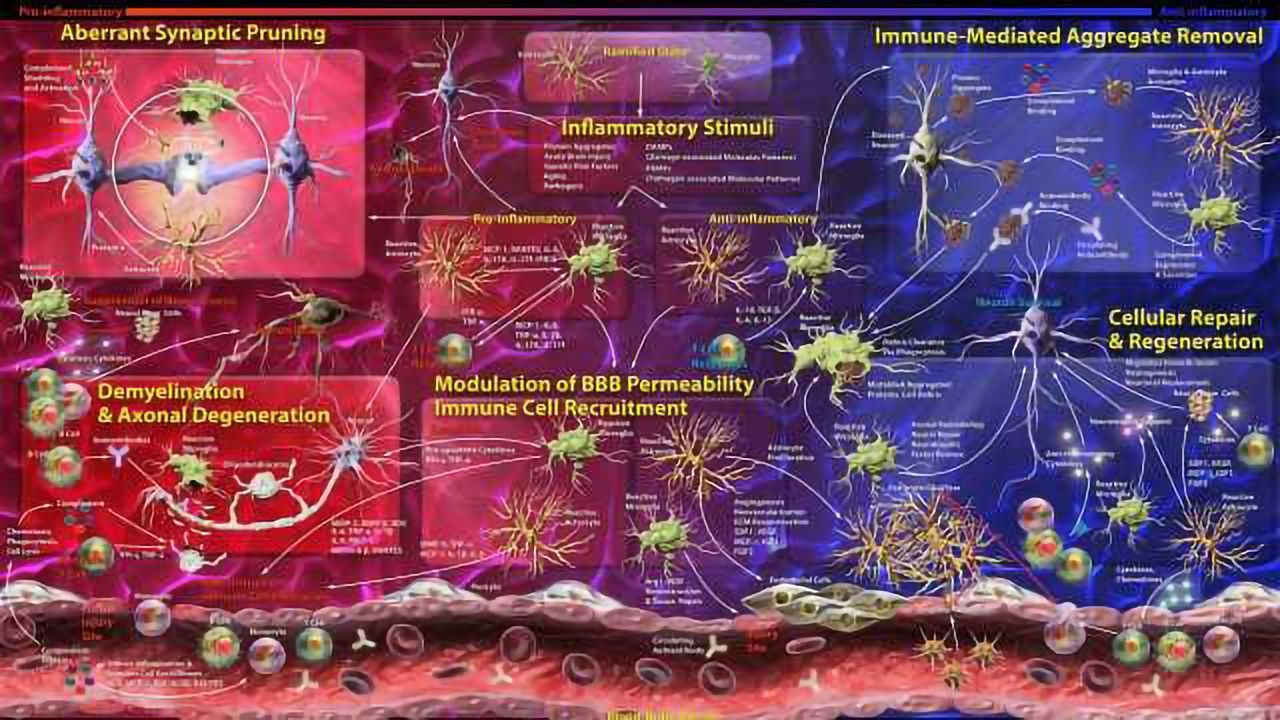 Neuroinflammation