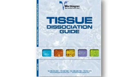 Tissue Dissociation Guide