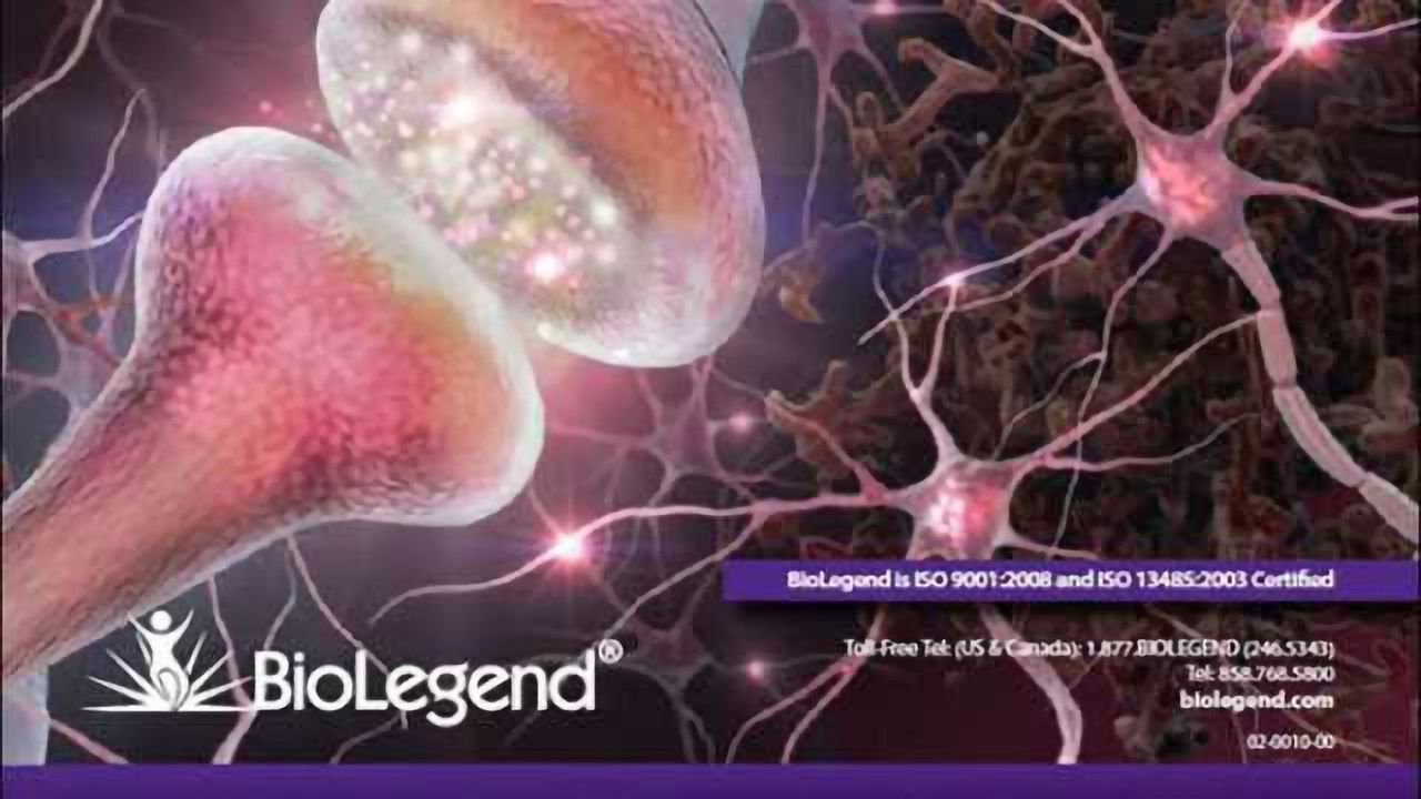 BioLegend’s New Neuroscience Brochure