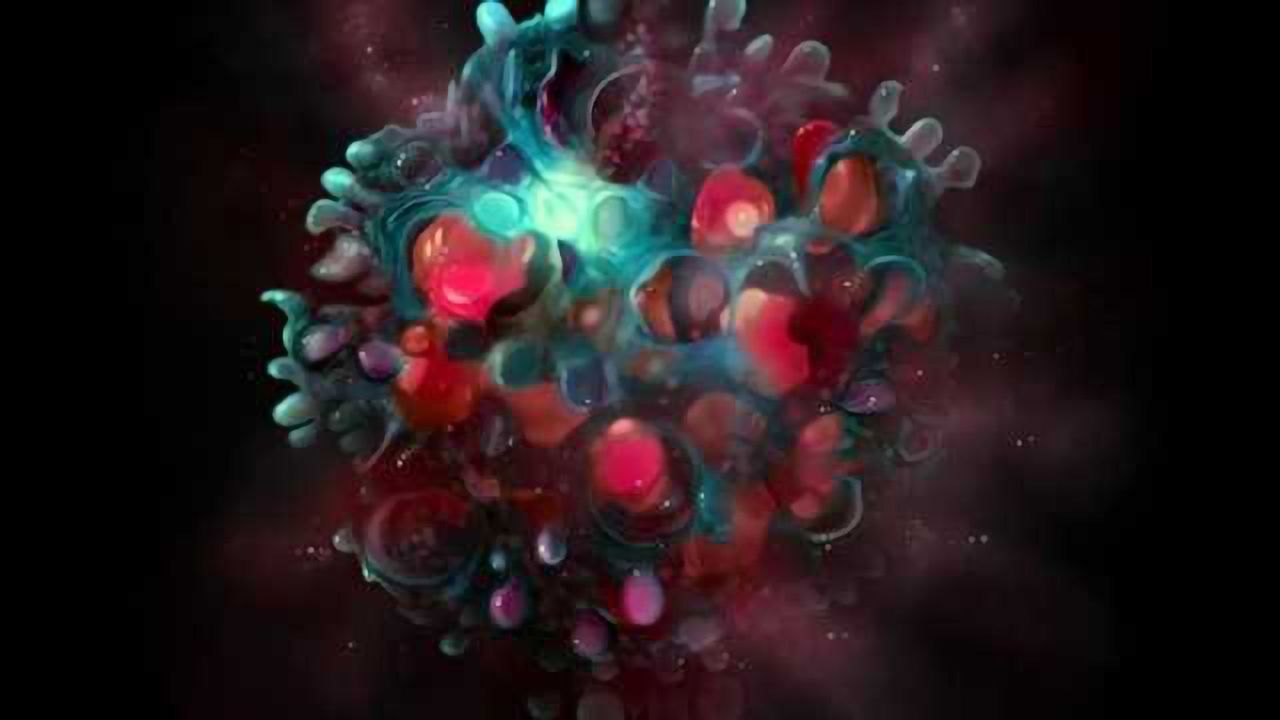 Annexin V (PE) /7-AAD Apoptosis Detection Kit