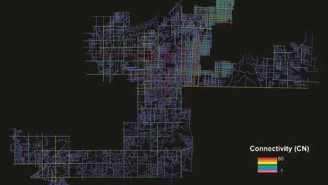 Research shows easy-to-walk communities can blunt cognitive decline