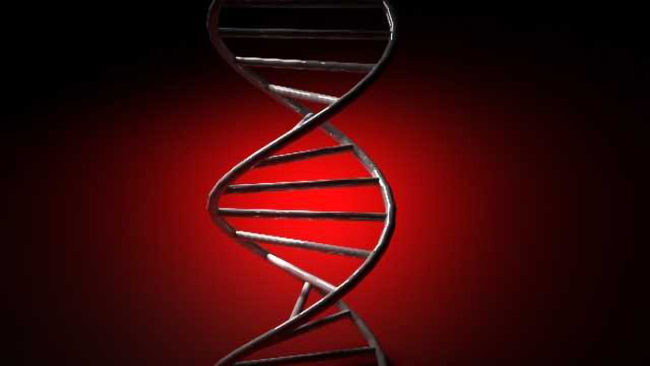 Study finds new genetic clues to pediatric seizure disorders