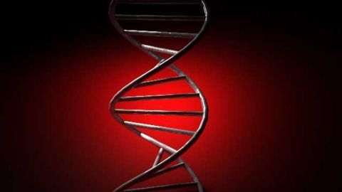 Study finds new genetic clues to pediatric seizure disorders