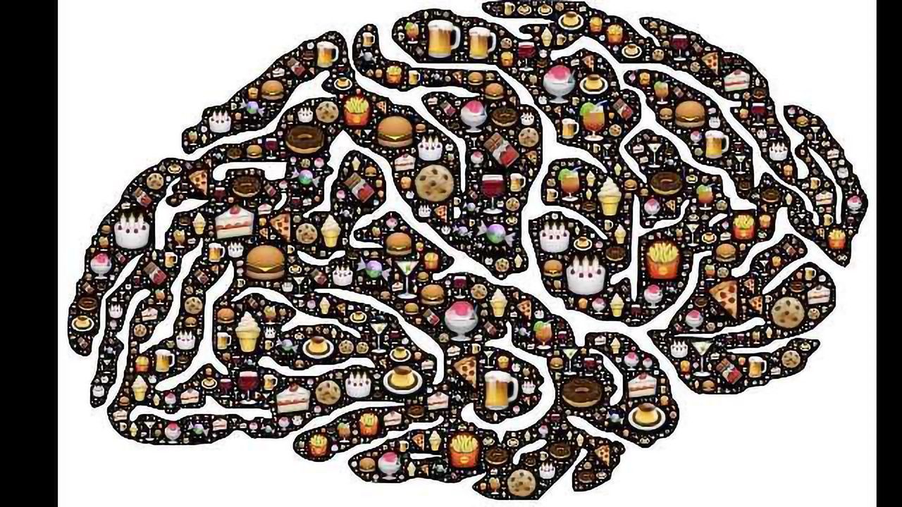 Two New Types Of Brain Cells Underlie Obesity