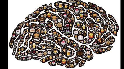 Two New Types Of Brain Cells Underlie Obesity