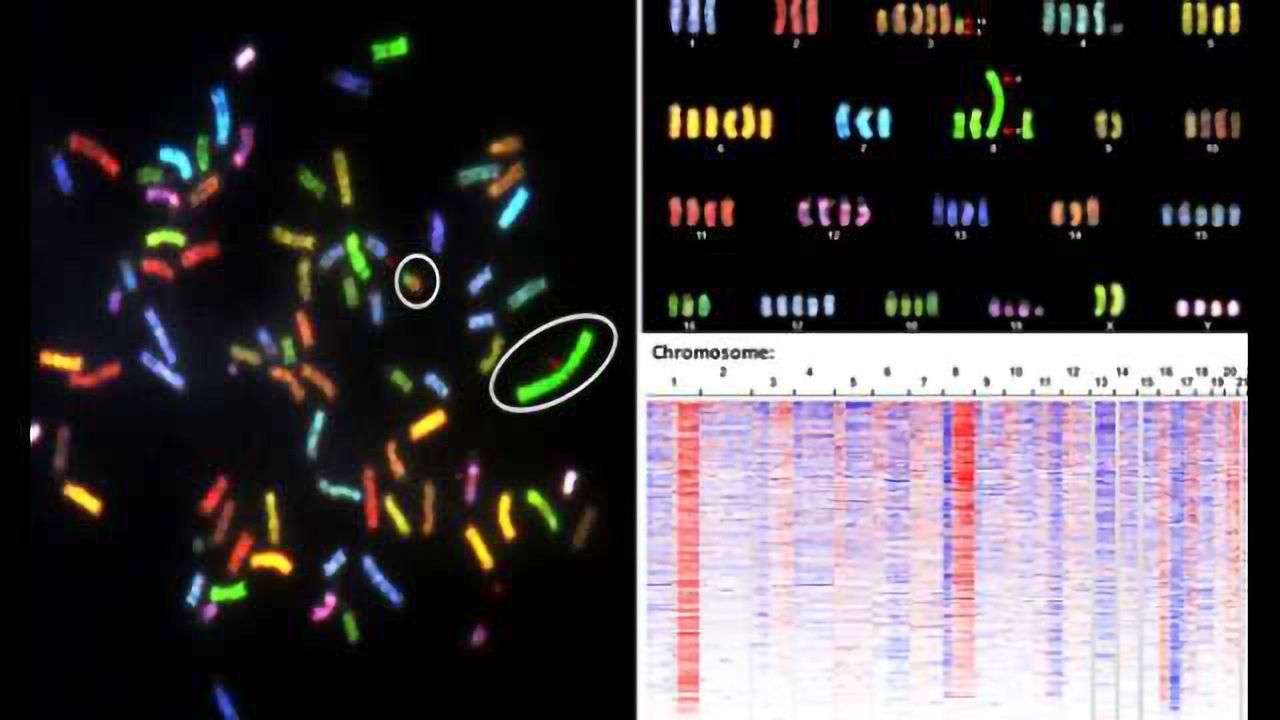 Building Better Cancer Models