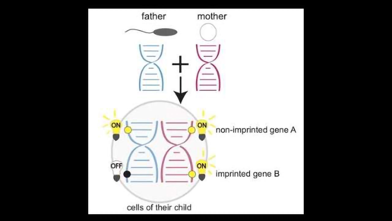 Stepping Up the Hunt for Genetic Diseases