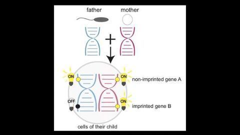 Stepping Up the Hunt for Genetic Diseases