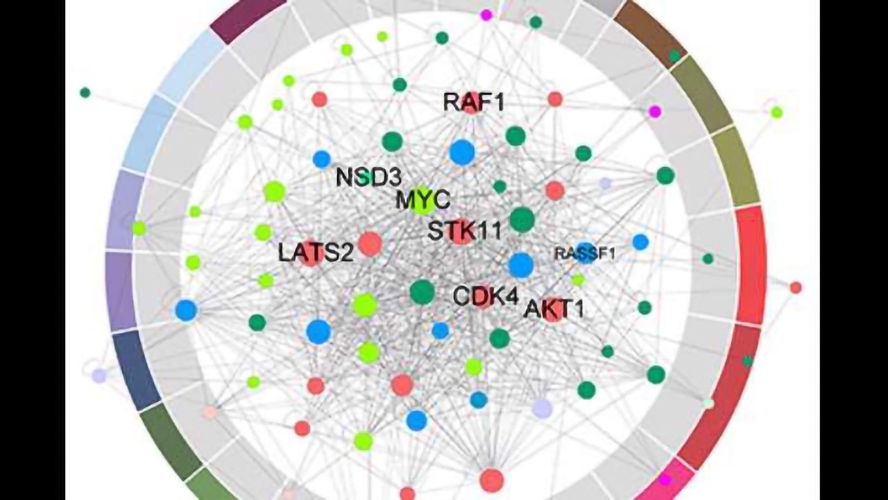New Ways to Target Cells Carrying Mutations in Cancer-Causing Genes