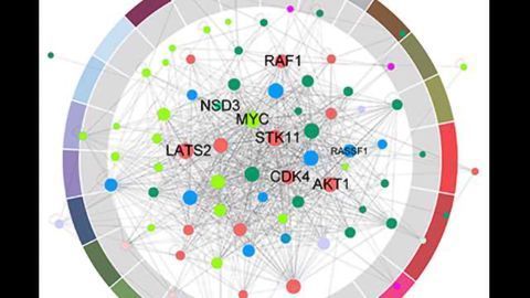 New Ways to Target Cells Carrying Mutations in Cancer-Causing Genes