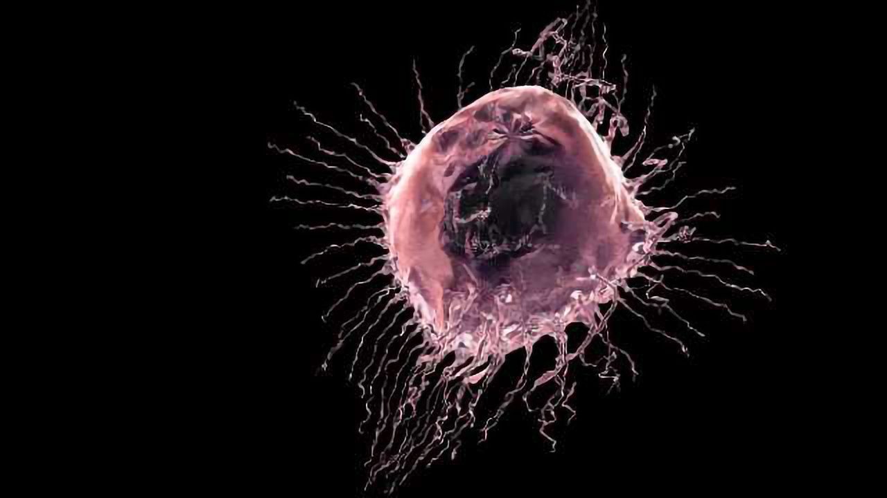 Restoring the Biological Clock to Slow Cancer Growth