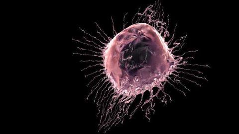 Restoring the Biological Clock to Slow Cancer Growth