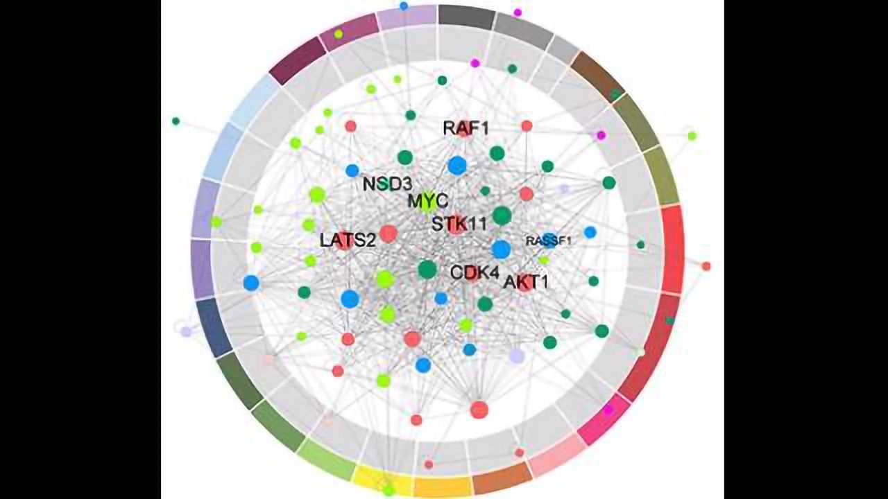Revealing New Cancer Drug Targets