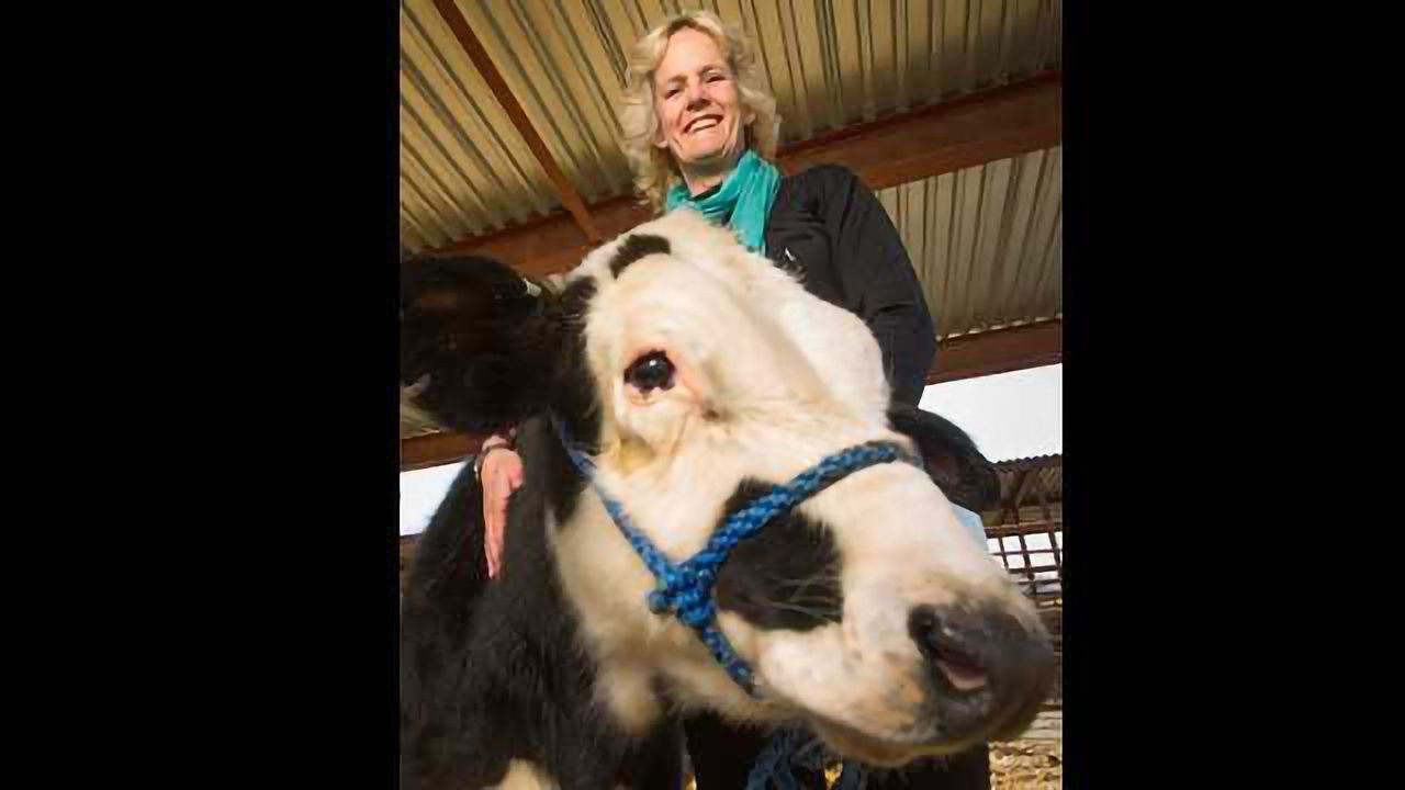 The Potential of Gene Editing to Revolutionize Agriculture