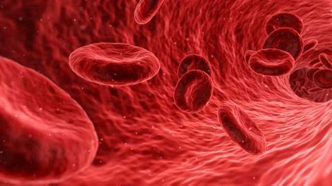 FDA Approval For Phase I Trial of Gene-Edited Leukemia Therapeutic