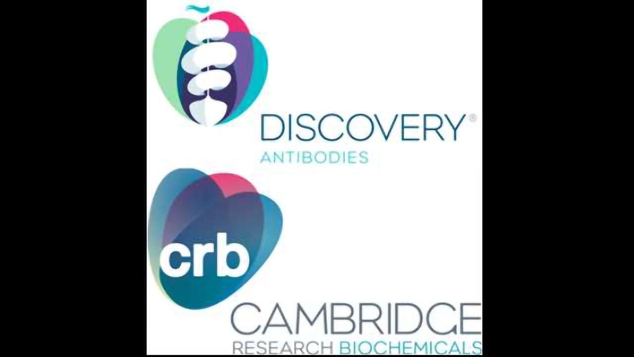 Cambridge Research Biochemicals Launches DISCOVERY Antibodies Catalogue