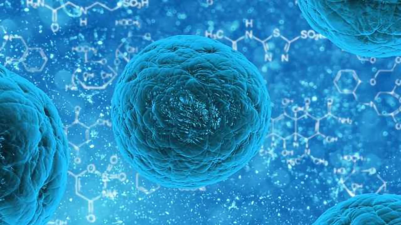 Potential of Adipose-derived Stem Cells in Anti-Aging Treatments