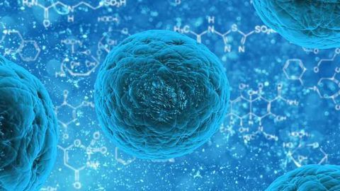 Potential of Adipose-derived Stem Cells in Anti-Aging Treatments