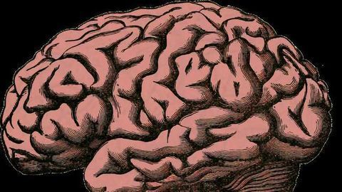 Cocaine Addiction Leads to Build-Up of Iron in Brain