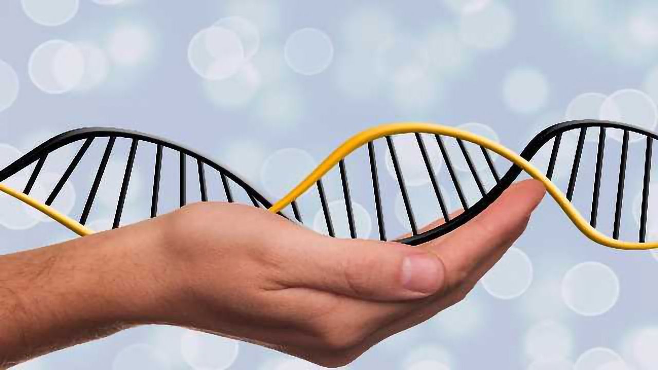 New Computer Model Shows How Proteins are Controlled