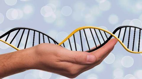 New Computer Model Shows How Proteins are Controlled