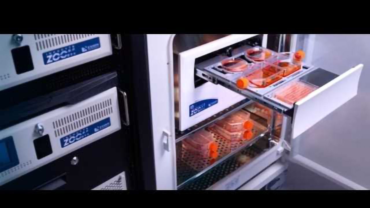 Discover Live Cell Analysis at AACR 2017