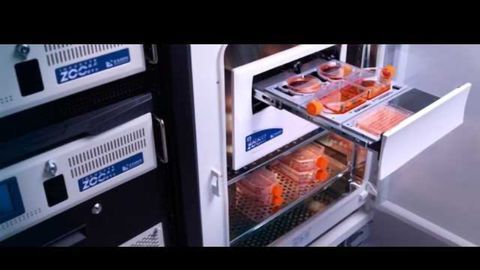 Discover Live Cell Analysis at AACR 2017