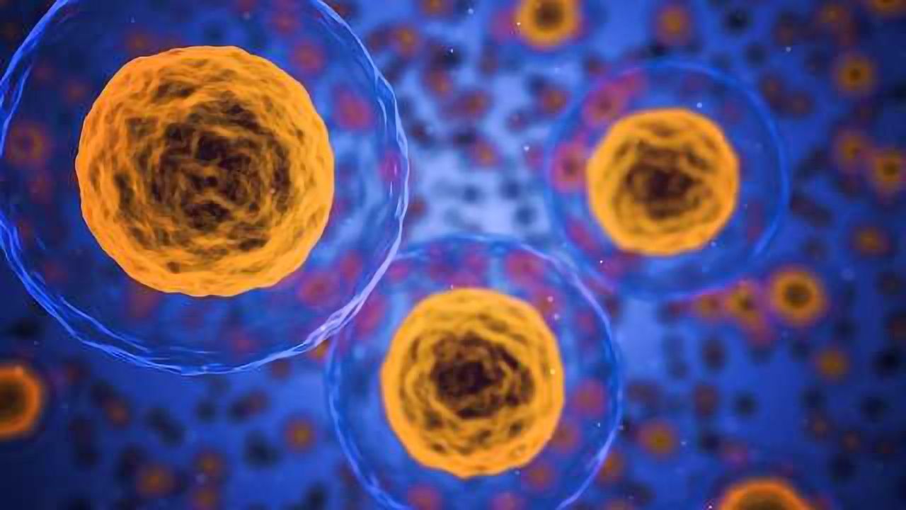 Using CRISPR to Supercharge Cancer-Killing Immune Cells