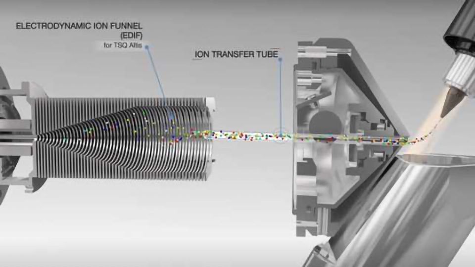 Introducing the New TSQ Altis and TSQ Quantis Triple Quadrupole MS content piece image