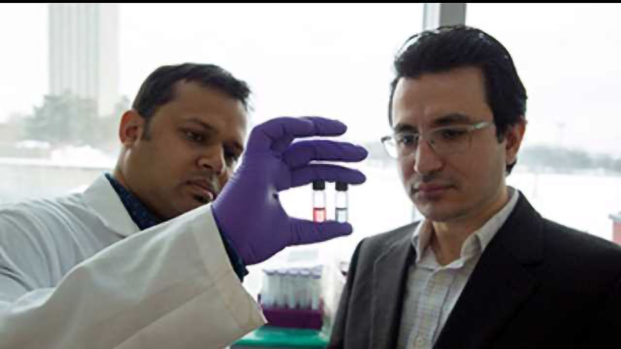 Rapid Detection of Ebola